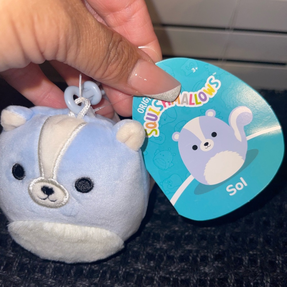 Squishmallow Clip-On Bundle (5 Total) - Picture 9 of 11